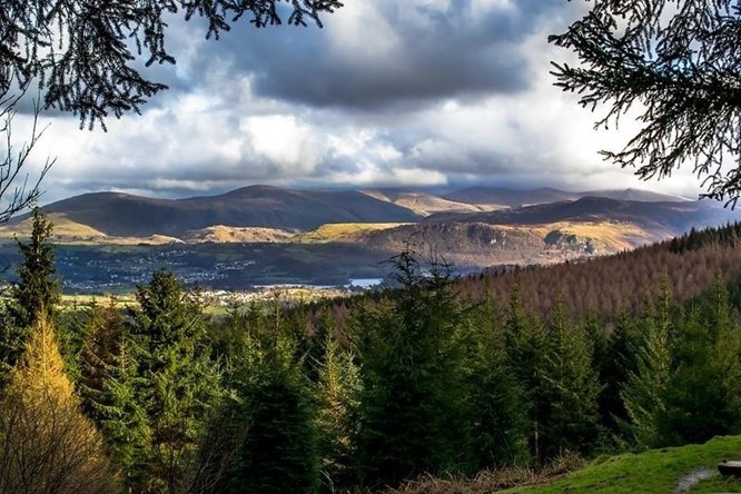 Visit Whinlatter Forest